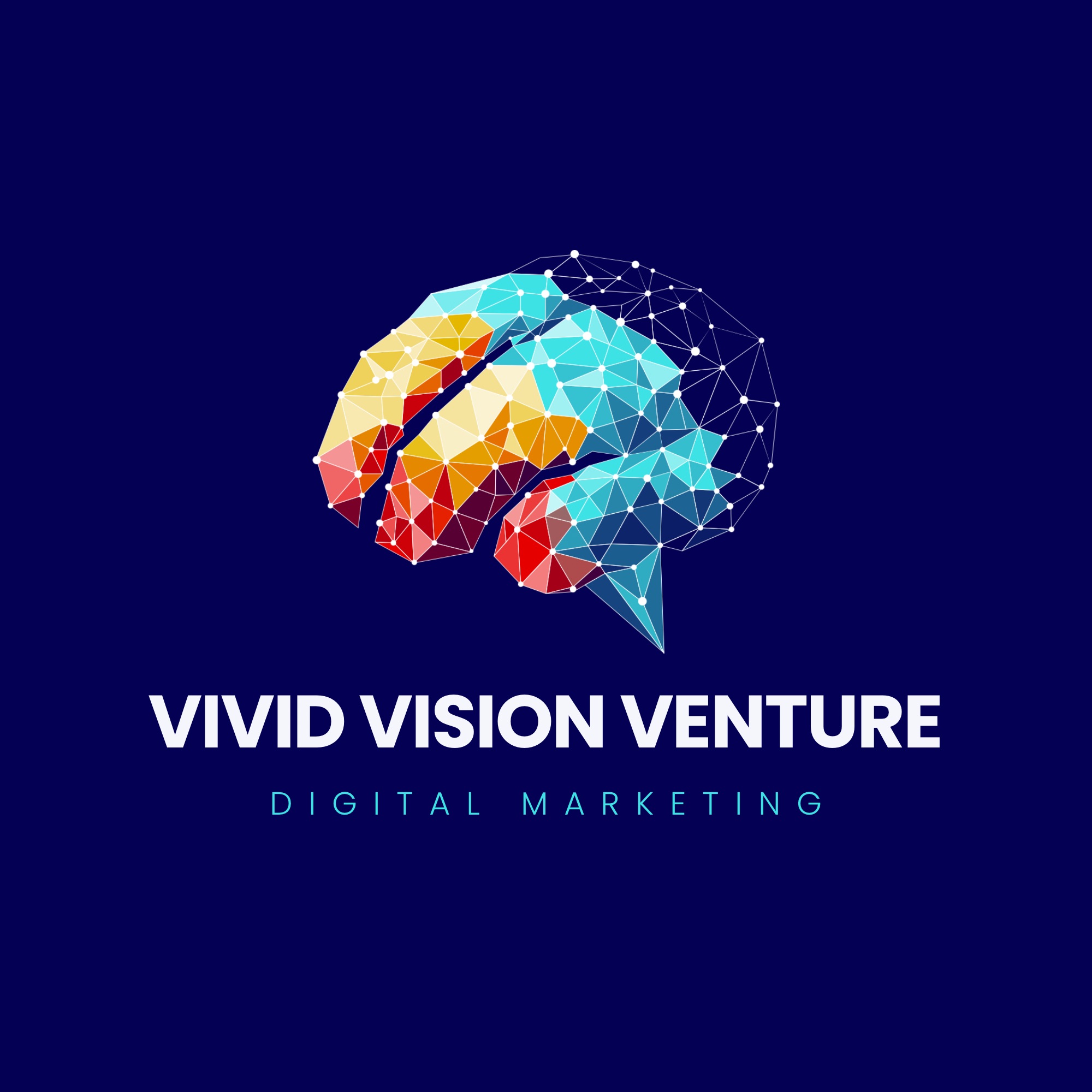 vividvisionventure.co.za